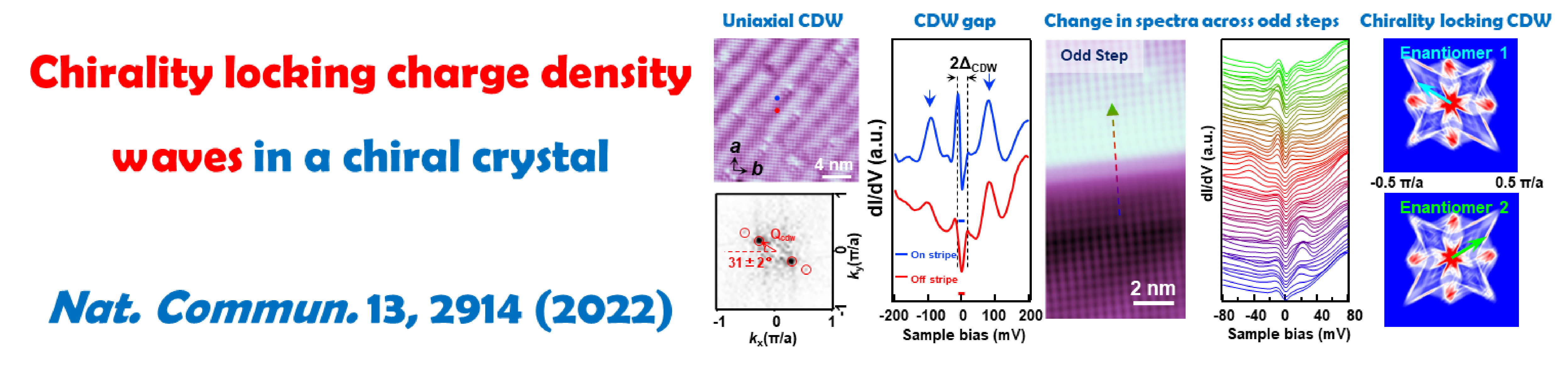 Chirality locking charge density waves in a chiral crystal