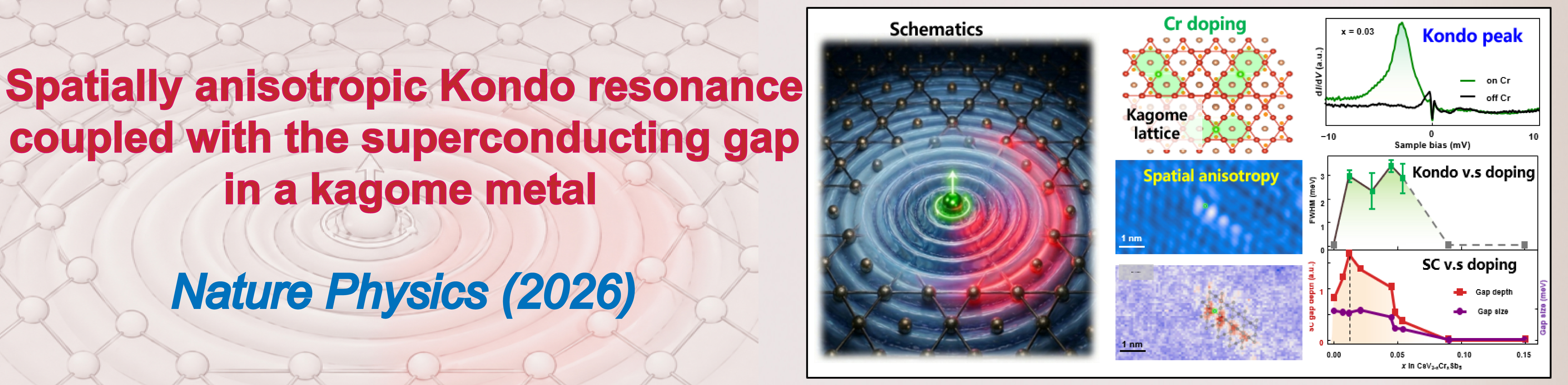 Spatially anisotropic Kondo resonance coupled with the superconducting gap in a kagome metal