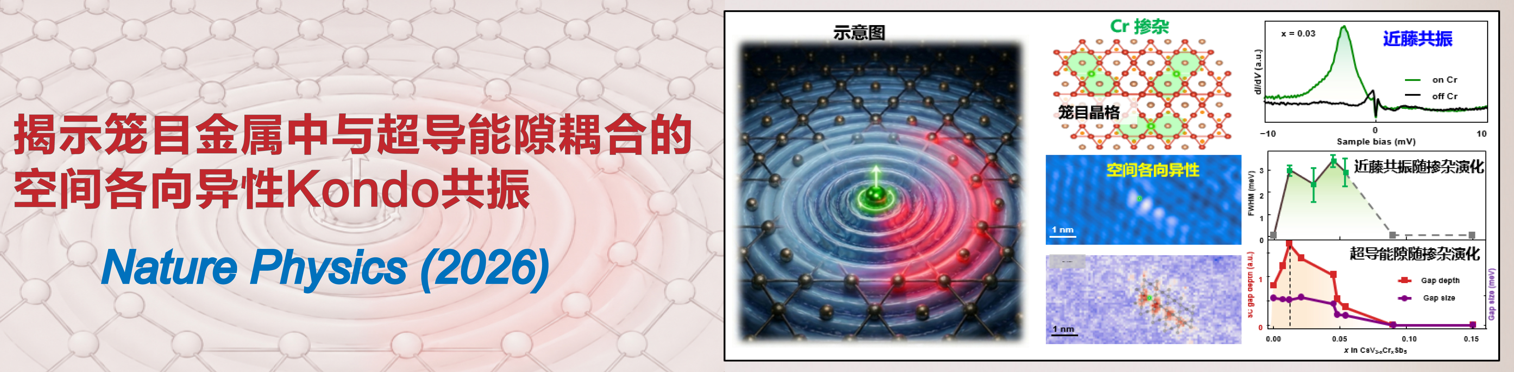 揭示笼目金属中与超导能隙耦合的空间各向异性Kondo共振